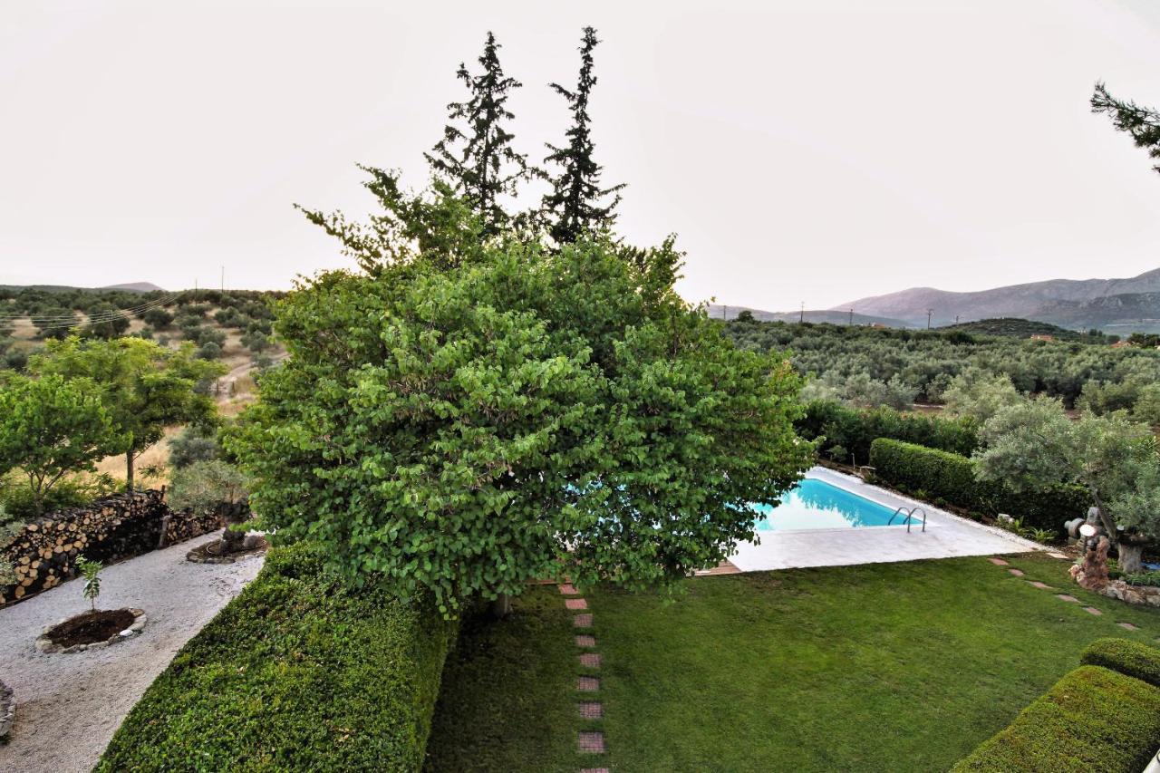 Villa Korina Metochi  Εξωτερικό φωτογραφία