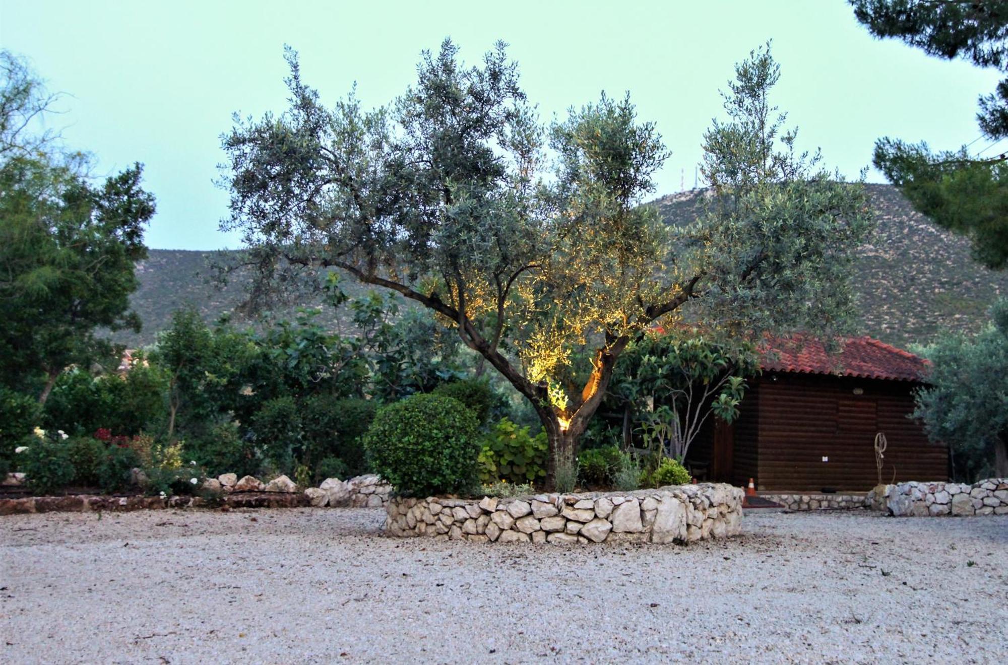 Villa Korina Metochi  Εξωτερικό φωτογραφία